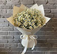 Букет цветов из:  Ромашки #REPLACE_PRED# Саркташе